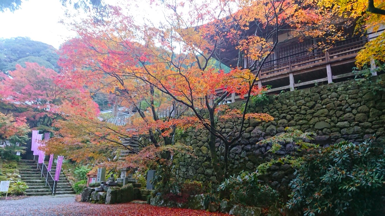 秋登山 初心者にオススメの紅葉が綺麗な九州秋の山５選 １ 九州山登りブログ 今日も絶好調